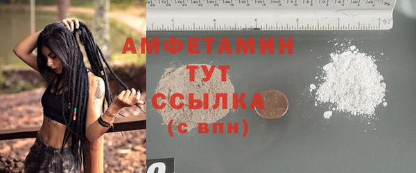 твердый Новодвинск
