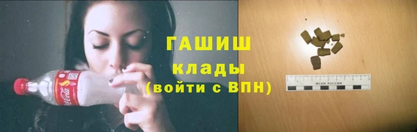 твердый Новодвинск