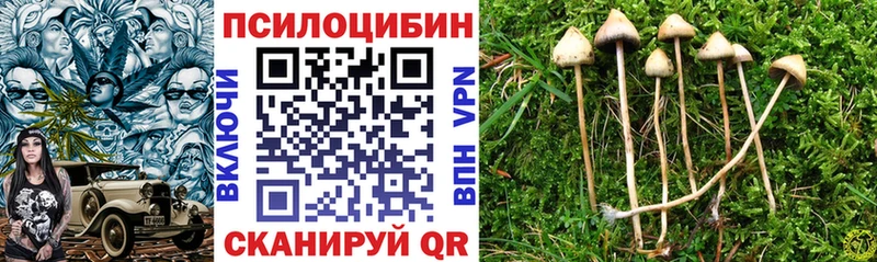 Галлюциногенные грибы прущие грибы  Ленинск 
